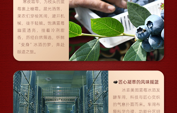 冰菲美图-特选级-详情页-长图_06.jpg